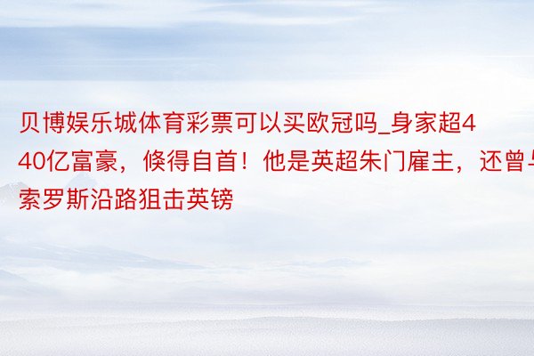 贝博娱乐城体育彩票可以买欧冠吗_身家超440亿富豪，倏得自首！他是英超朱门雇主，还曾与索罗斯沿路狙击英镑